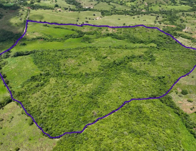 Venta de Finca Agricola Ideal para Ganadería y otros cultivos en Ocú