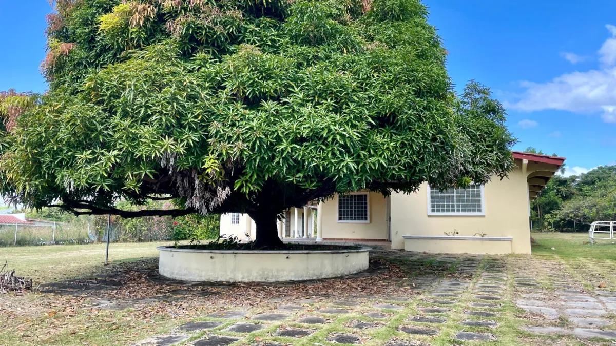Venta de Casa para remodelar en Coronado