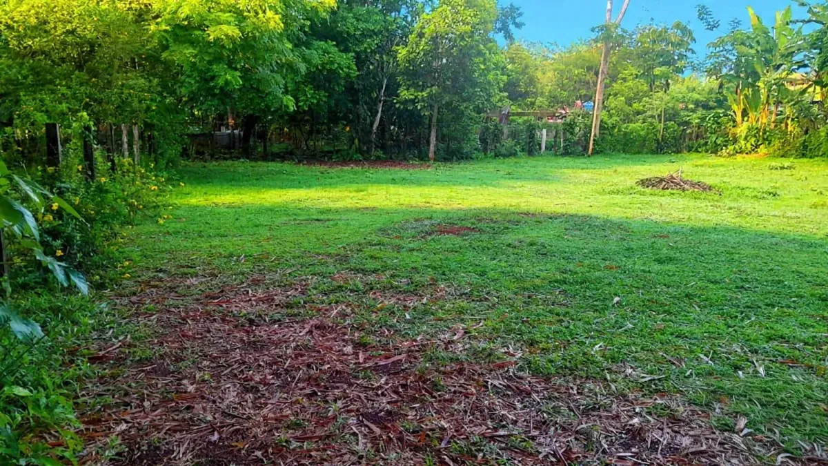 Lote Plano de 997m² en Venta en Las Lajas, Chiriquí