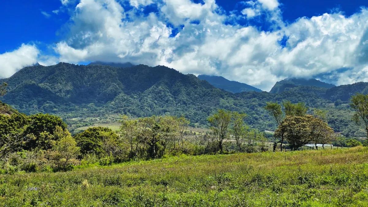 Land for Sale – Volcán, Cordillera Arriba Entrance
