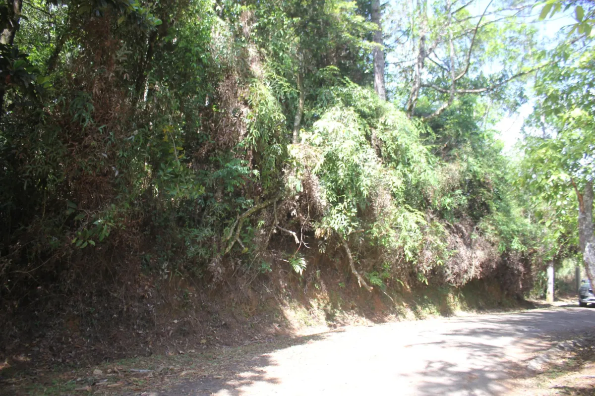 CERRO AZUL LAND FOR SALE