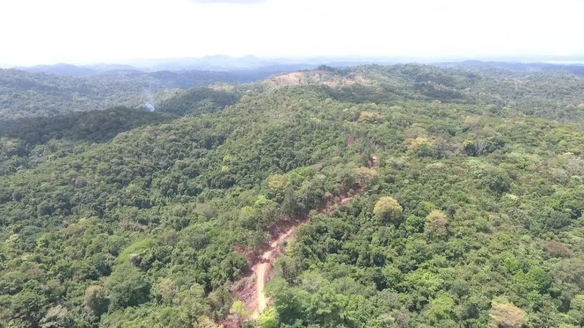 Land for sale in Colon, Buena Vista, El Giral