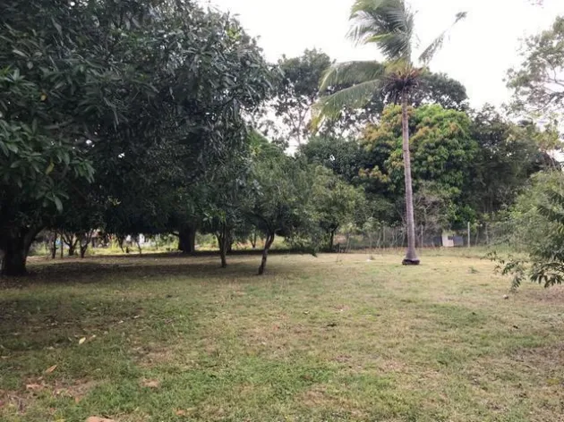 SE VENDE TERRENO EN GORGONA