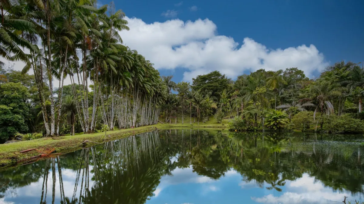 Residential estate 3.69 ha with lakes, and forest