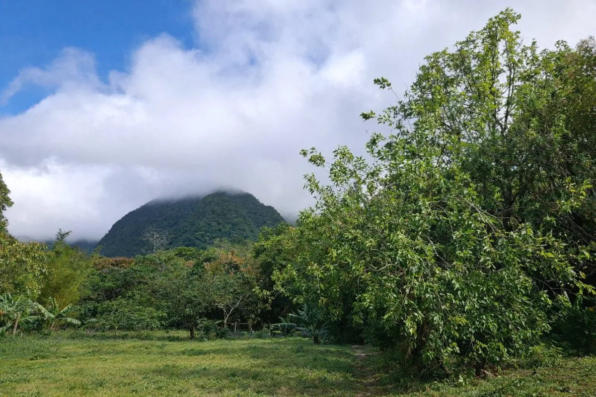 Exceptional Mountain Lot in El Valle de Antón!