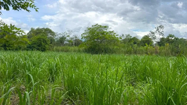 Large plot of land surrounded by natura in Tinajas
