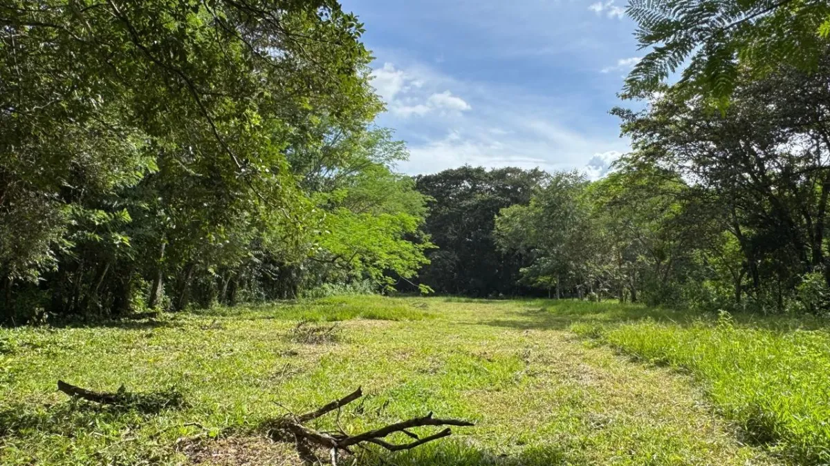Property for Sale – Caldera, Boquete District