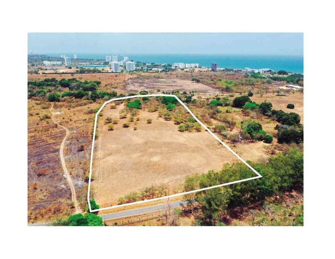 4.4-Hectare Land Opportunity Near Buenaventura