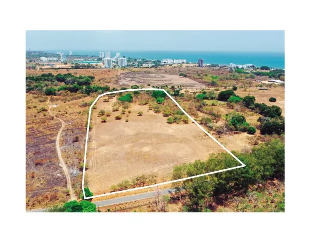 4.4-Hectare Land Opportunity Near Buenaventura
