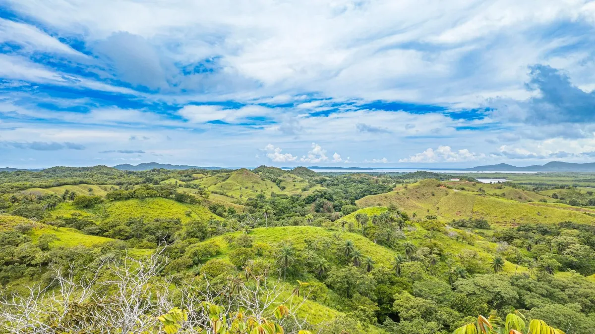 6-Hectare Hill Property for Sale in Boca Chica