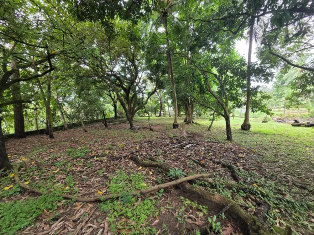 TERRENO EN VENTA EN CHEPO
