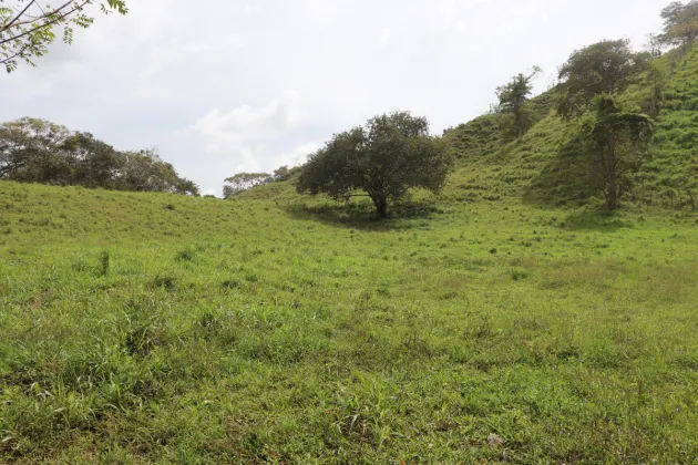 VENTA DE FINCA – EL LORO, VÍA LAS TABLAS / TONOSÍ