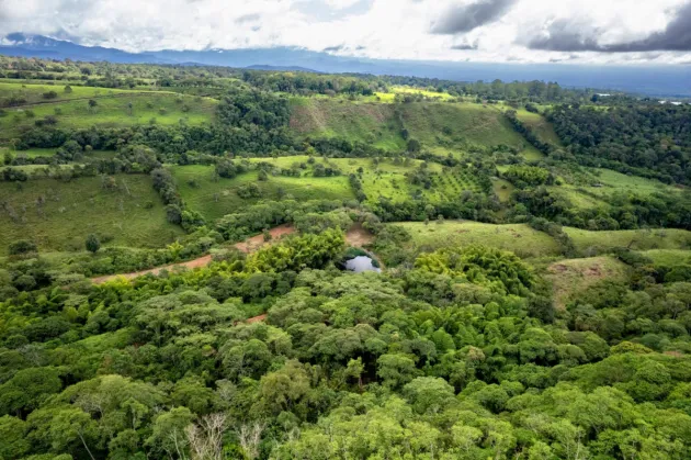 Lago de manantial y 10 hectáreas en venta en Rovira D