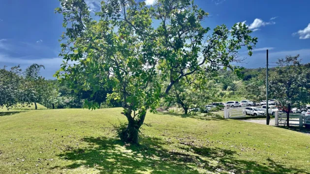Land for sale in Coronado, Colinas del Mar