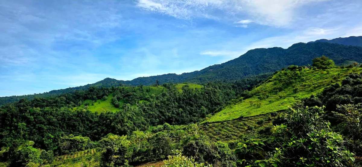 96.10 Hectare in Boquerón, Las Monjas