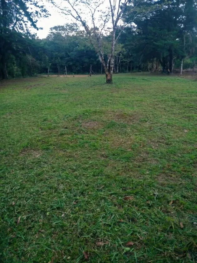 POTRERILLO ABAJO TERRENO EN VENTA
