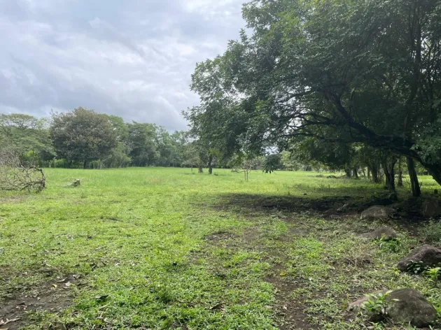 Three plots of land for sale near Dolega, Boquete