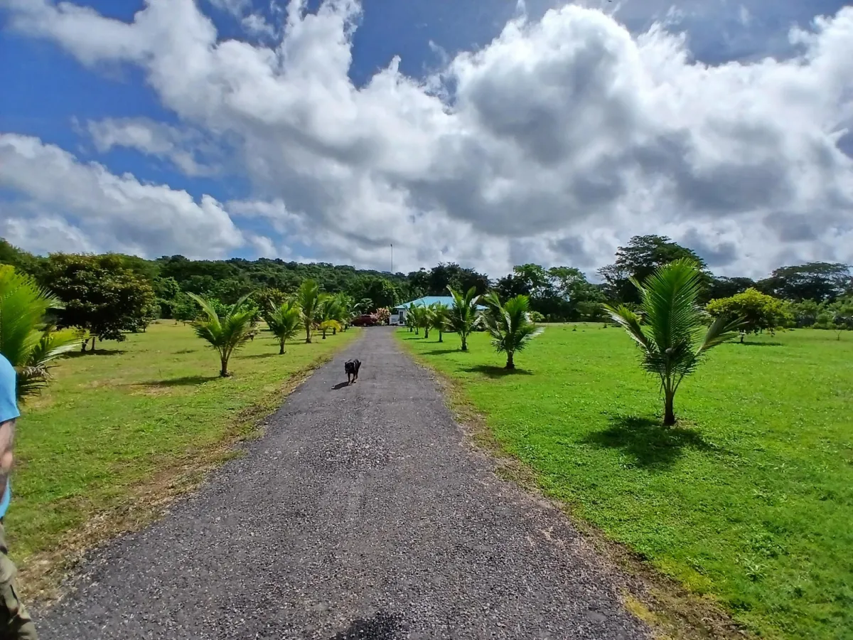 Well-organized, welcoming, quietly located finca