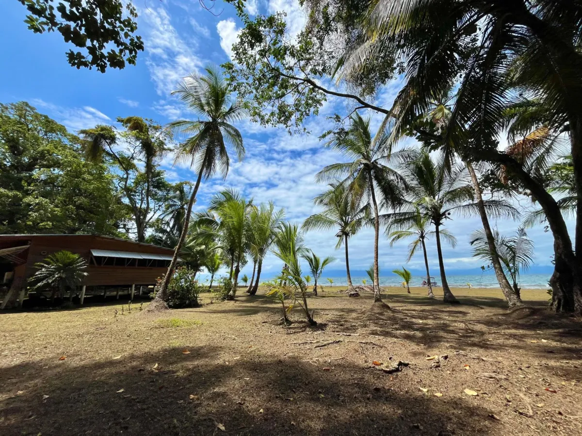 Beachfront Off-Grid Home For Sale