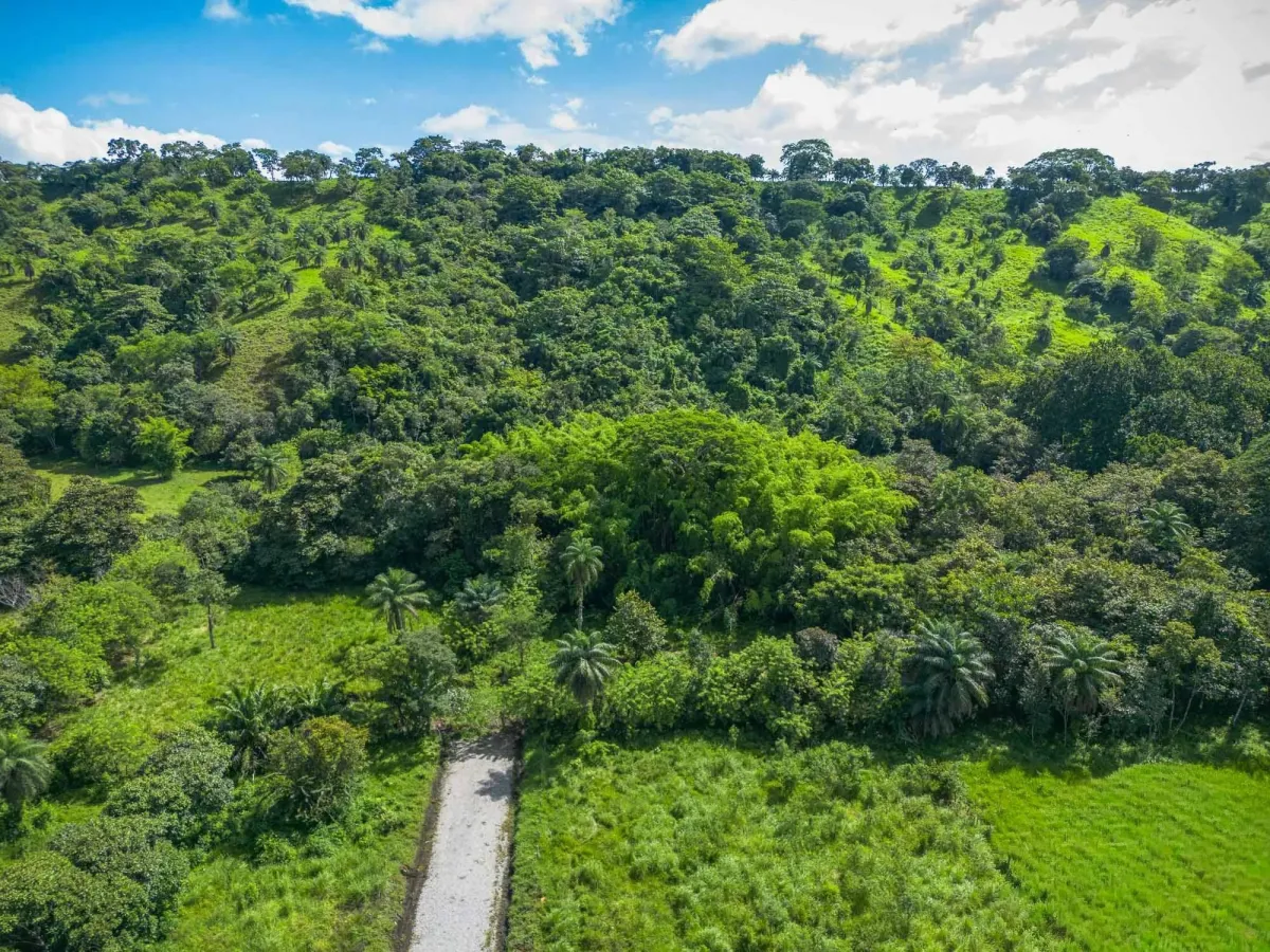 3-Hectare Diverse Property for Sale