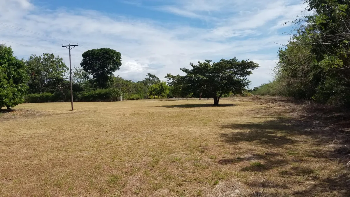 Lote de 1.3 hectareas en Rio Hato, Panamá.