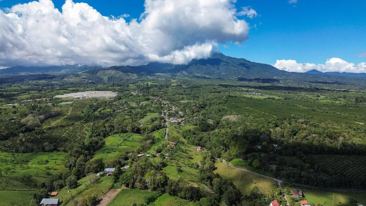 LAND RETREAT FOR SALE WITH CREEK