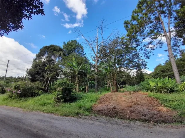 LOTE EN PALMIRA EN VENTA, LA CASA DE SUS SUEÑOS LO ESPERA