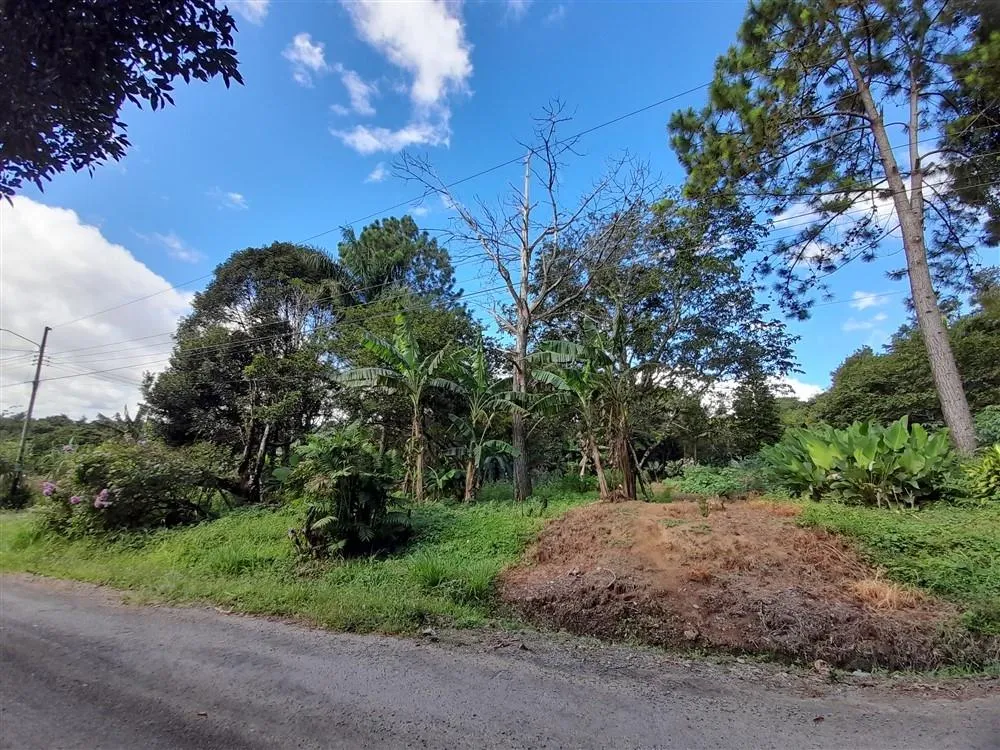 LOTE EN PALMIRA EN VENTA, LA CASA DE SUS SUEÑOS LO ESPERA