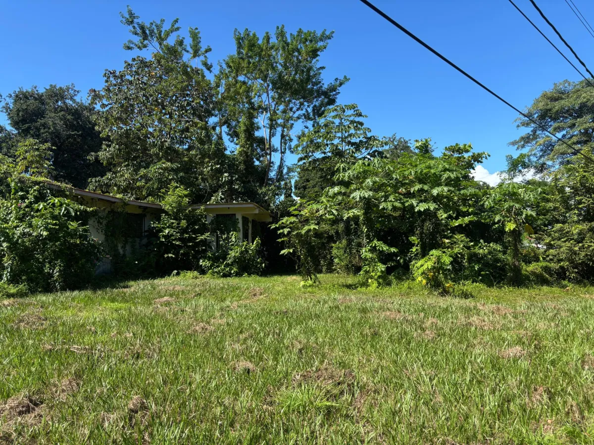 Property for Sale, Land in Coronado