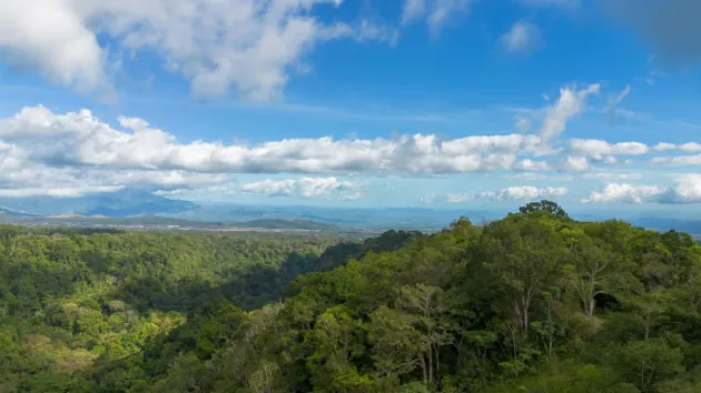22 Hectáreas con Vistas al Arroyo y a la Montaña