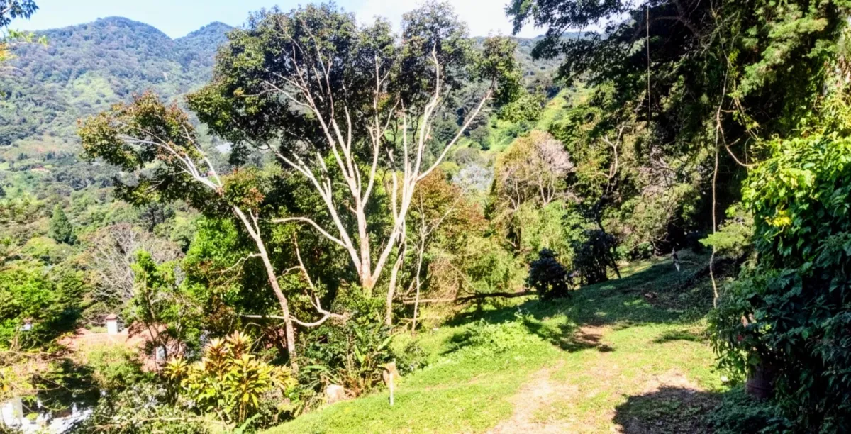 Lot For Sale in Palo Alto Boquete Panama