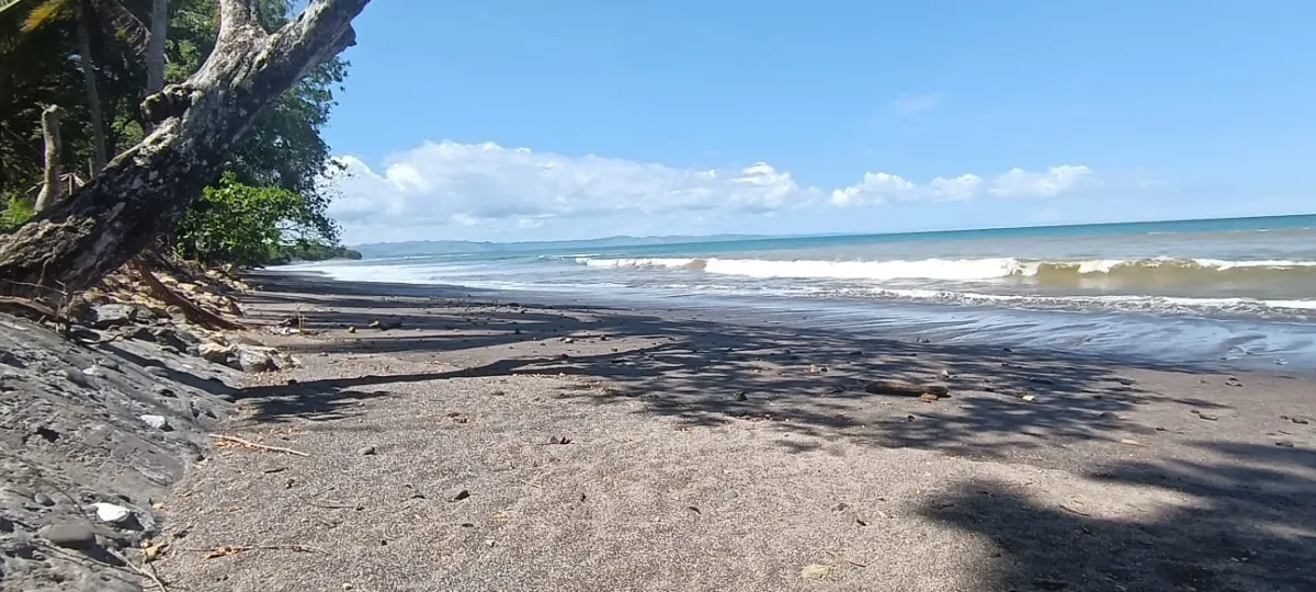 Sale of Titled Lot of 1,005 m² in Tonosí
