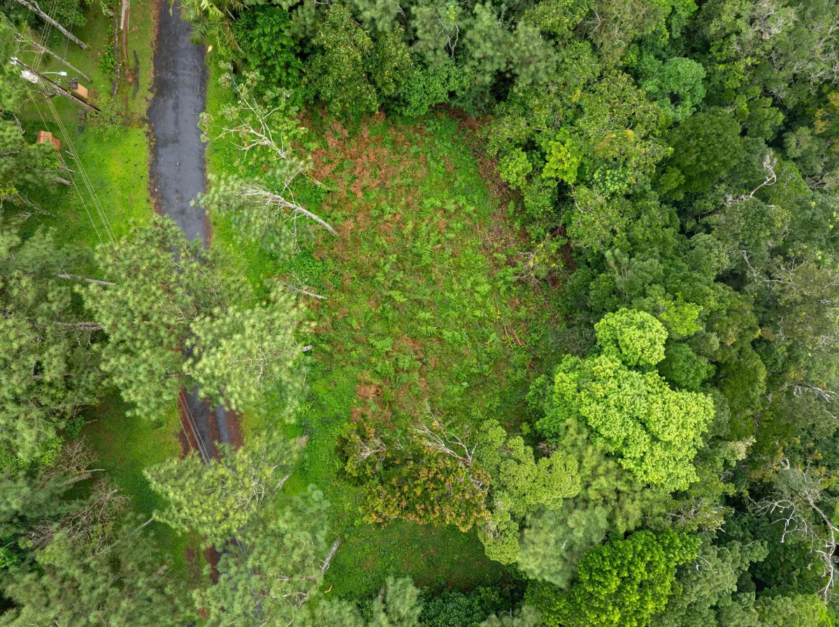 Mountain Residential Lot in Cerro Azul Panama