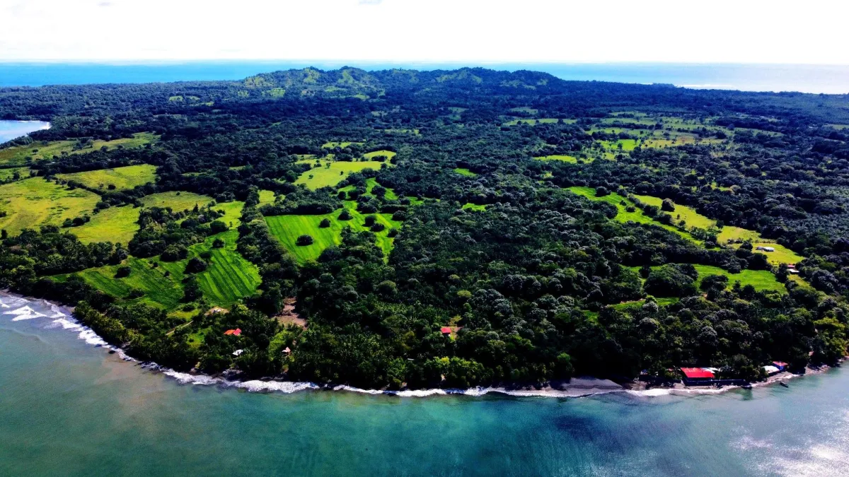 Terreno 69 hectareas en Puerto Armuelles, Limones Oportunidad de Inversión