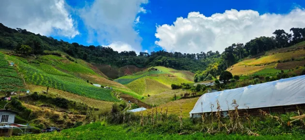 Finca Agrícola en Venta – Cerro Punta, Chiriquí