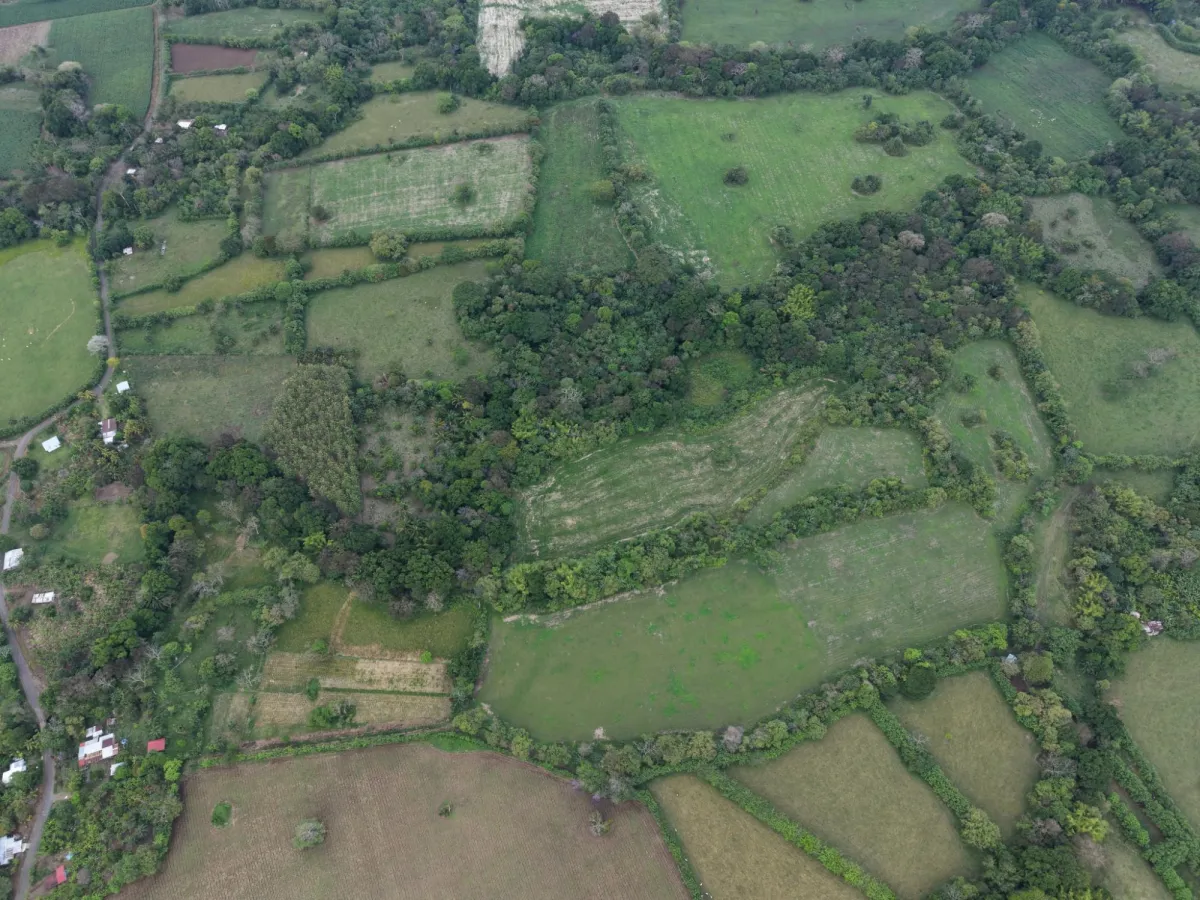Venta de Finca plana en San Martin, 61.9 HCT con casa de concreto de 300 M2