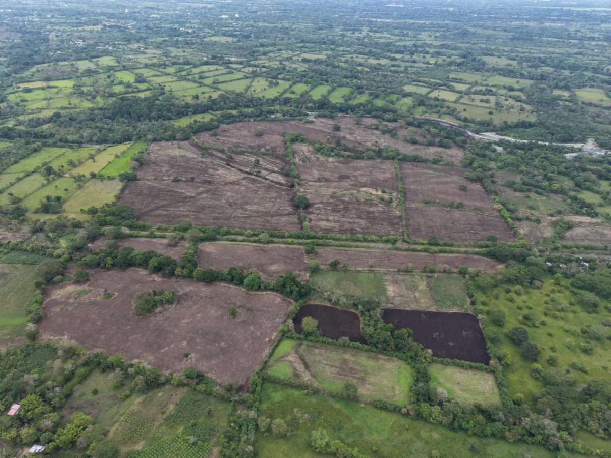 Venta de Finca plana en Siogui, Bugaba, Chiriqui