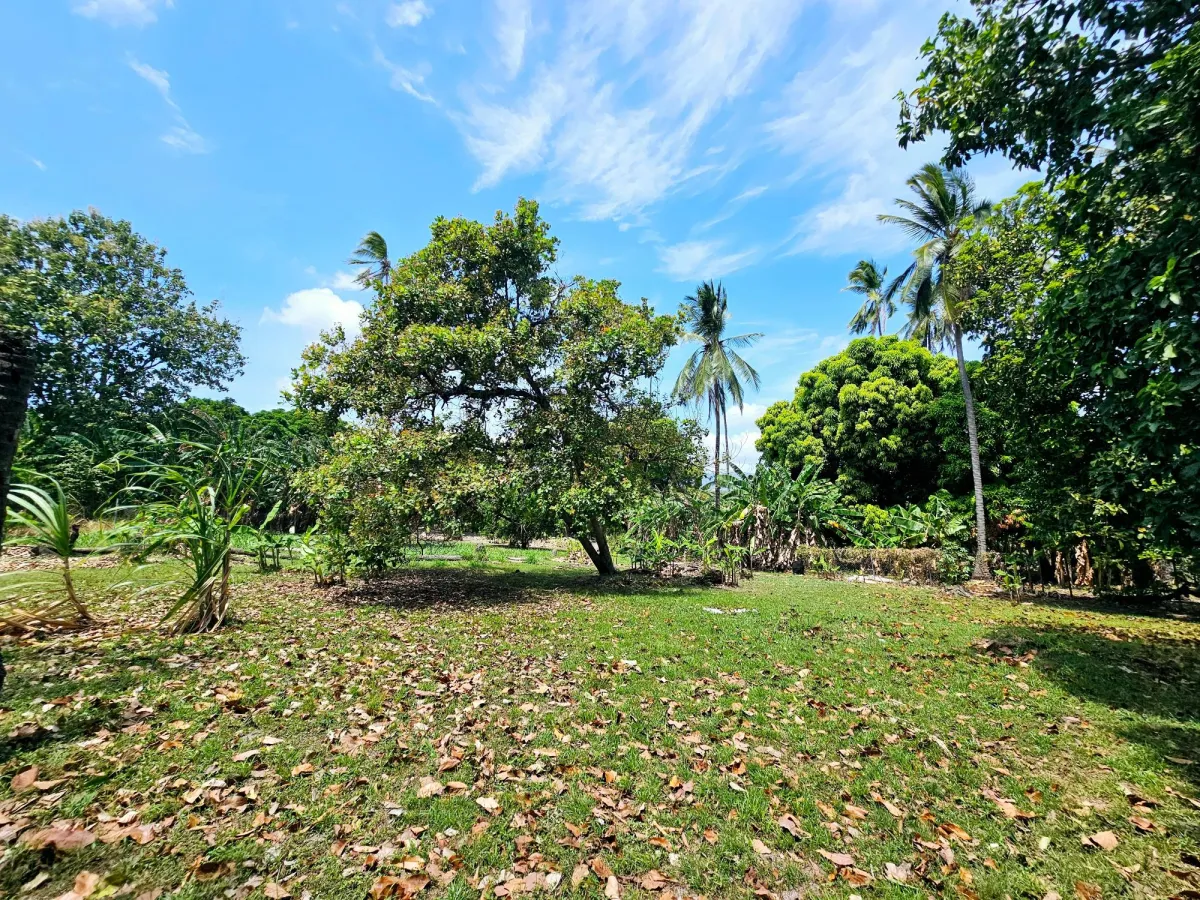 SE VENDE - TERRENO EN CHAME