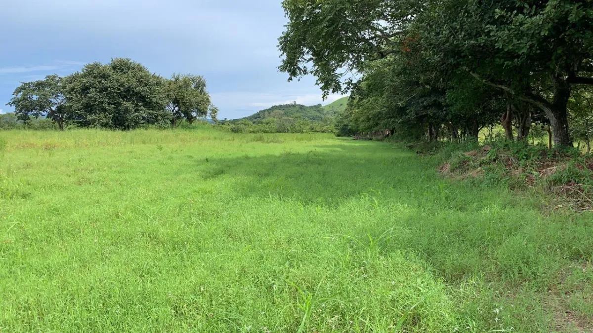 5 Hectare Plot of Land for Sale in Penonomé