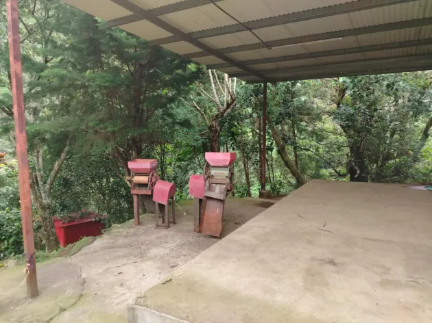 Finca de café ganadora del premio