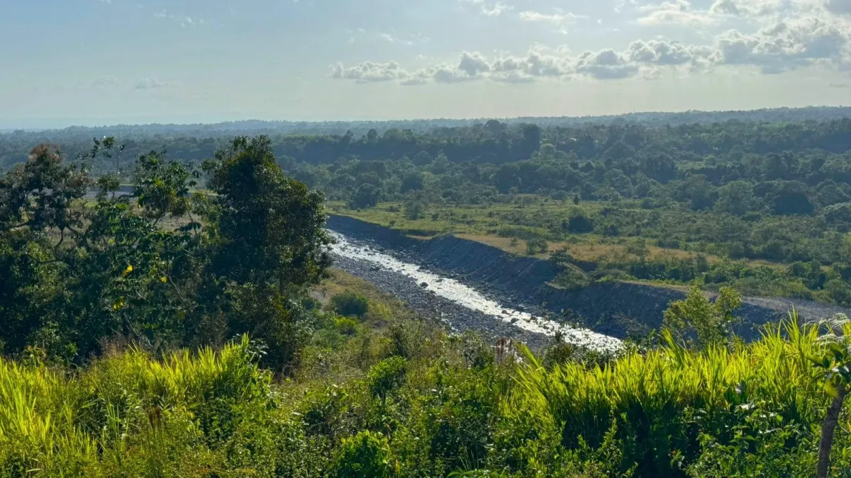 Agricultural Farm for Sale in Boquerón
