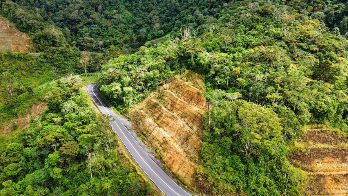 Terreno en Venta Carretera a Río Sereno, Volcán