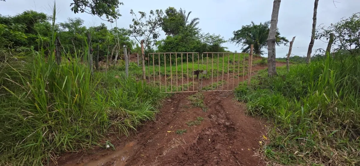 MONTE VIEJO TERRENO EN VENTA