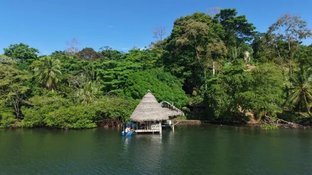 10 Hectares of Titled Waterfront in Tierra Oscura