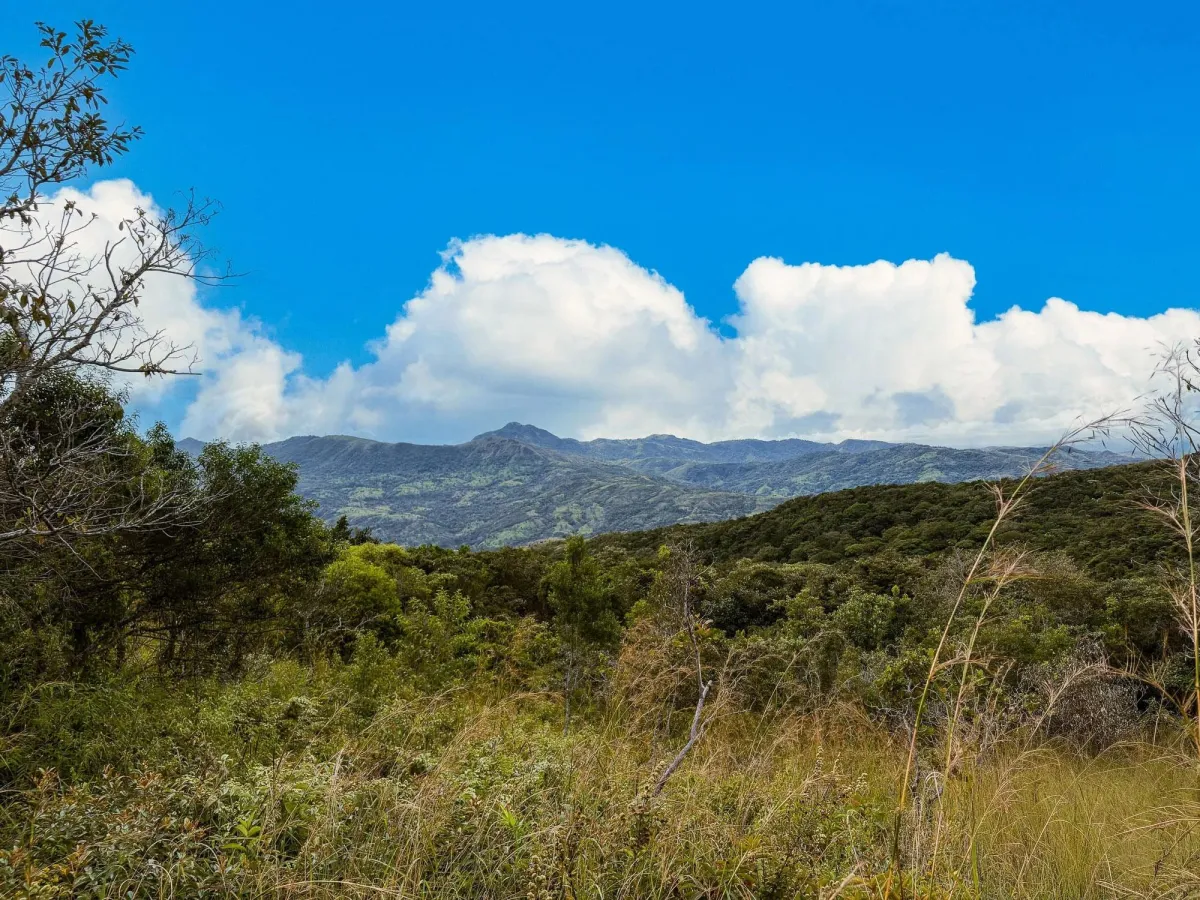 8.79 Hectare Land for sale in Caldera, Boquete
