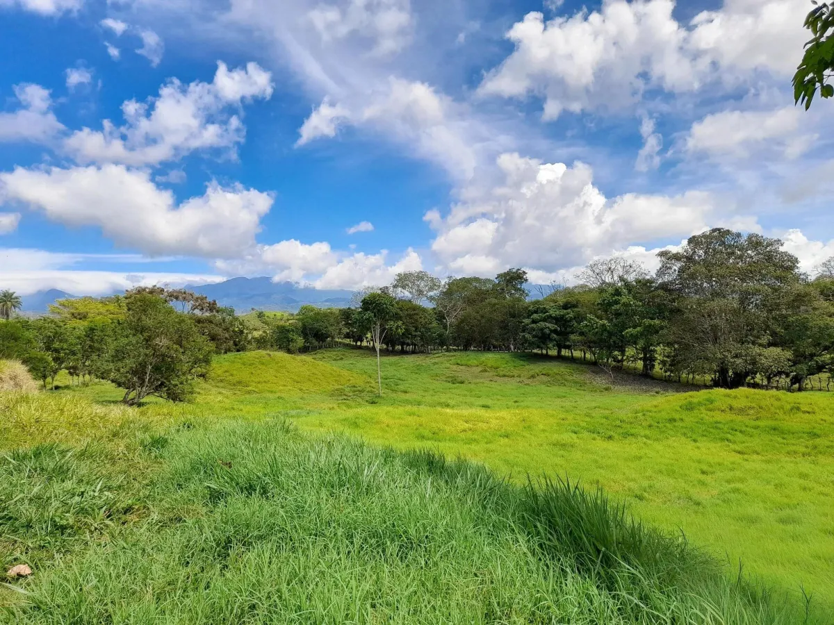 Expansive 146.652 Ha Property with Water Sources