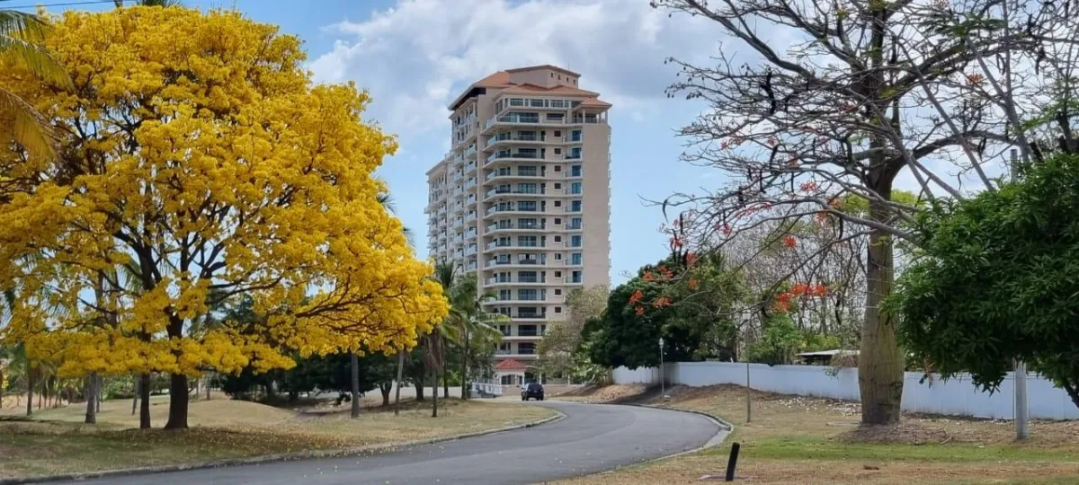 Beachfront Apartment with Ocean View, PH Las Olas
