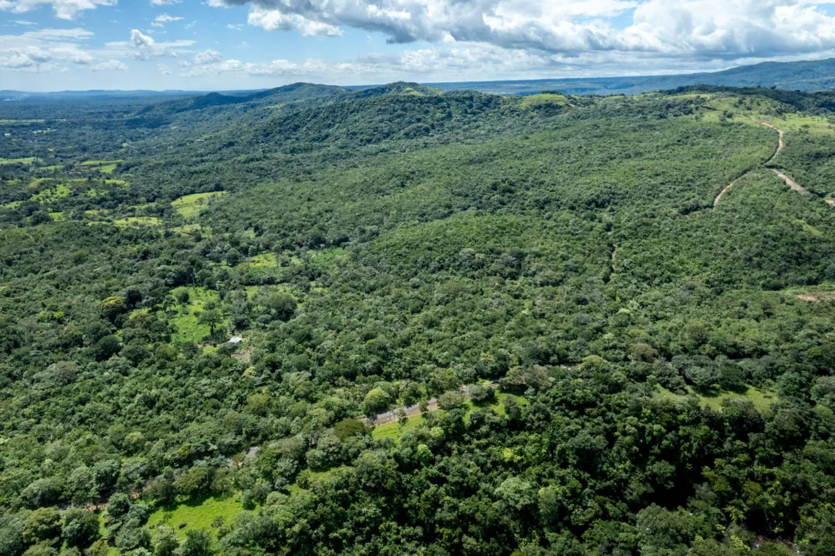 22 Hectares of Pristine Land Caldera Panama