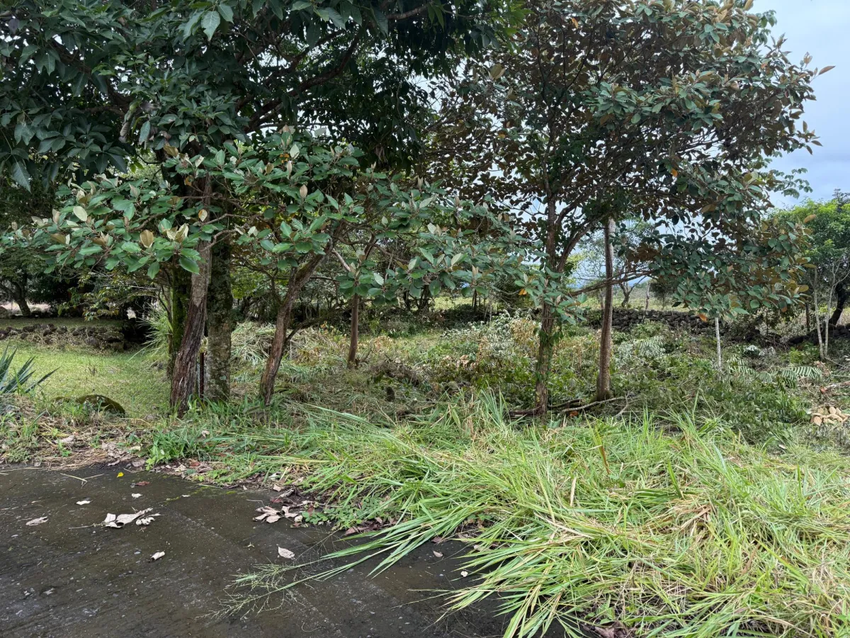 Rare Buildable Lot in Alto Boquete Priced to Sell