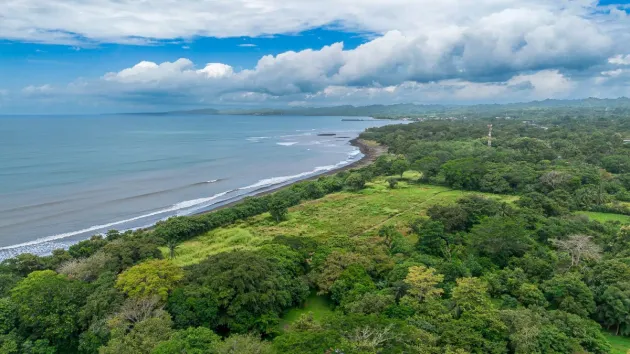 +9 Hectares of Flat Beachfront Land for Sale